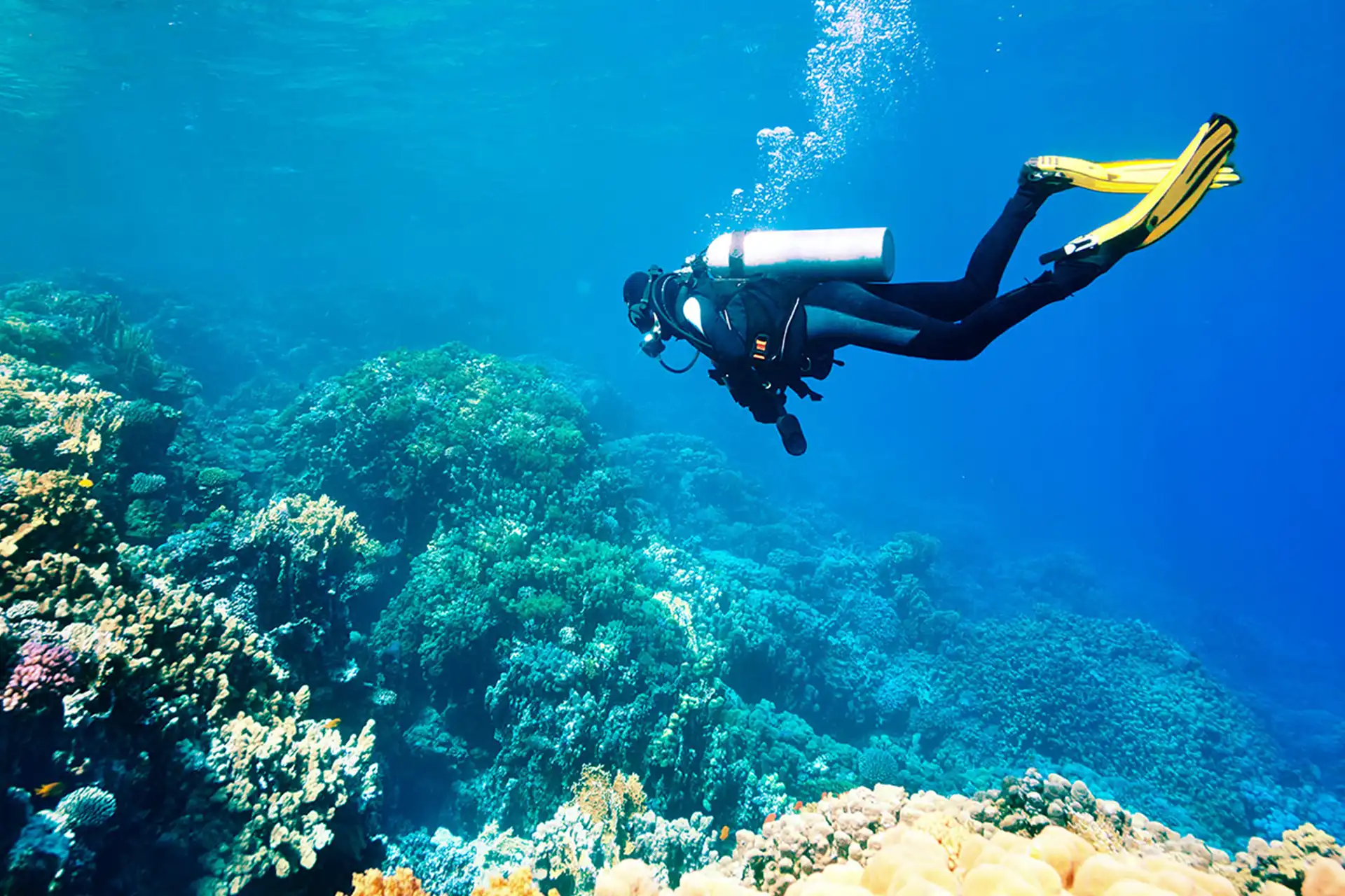 Scuba Diving