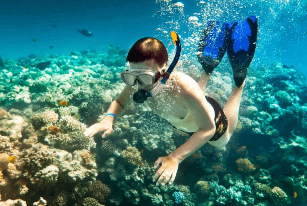 Snorkeling