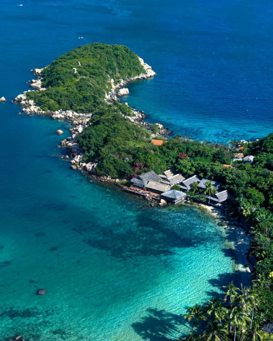 Whale Island Resort
