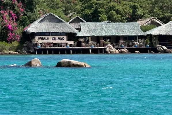 - Welcome to Whale Island resort - Welcome to Whale Island resort