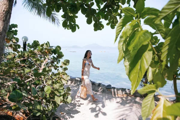 - Welcome to Whale Island resort - Welcome to Whale Island resort