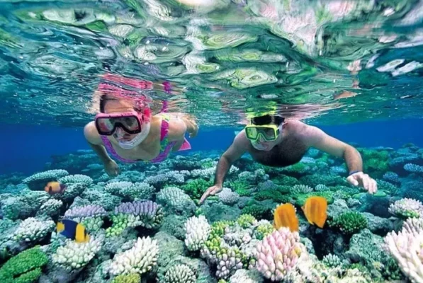 - Welcome to Whale Island resort - Welcome to Whale Island resort