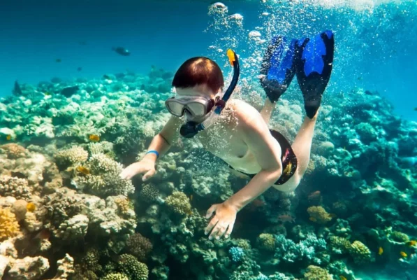 - Welcome to Whale Island resort Guests experiencing snorkeling adventures to discover untouched coral reefs in crystal-clear waters