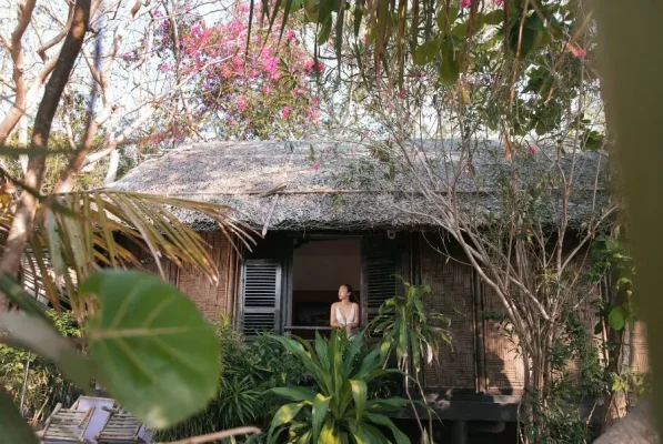 - Welcome to Whale Island resort - Welcome to Whale Island resort
