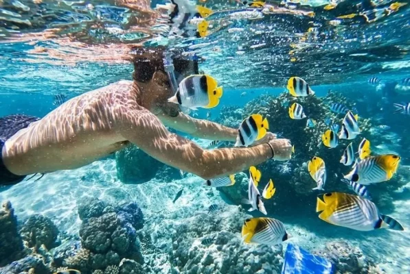 - Welcome to Whale Island resort