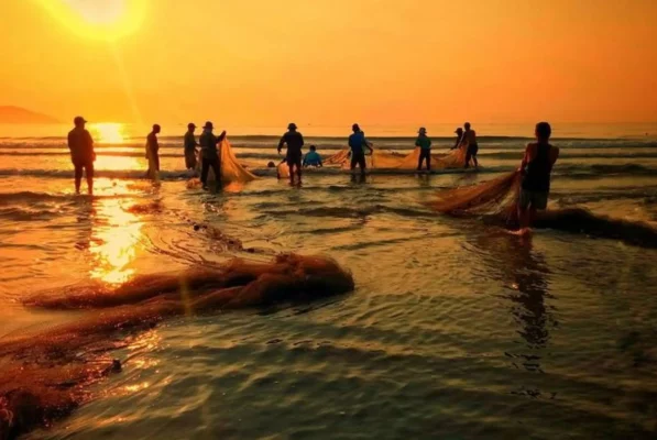 - Welcome to Whale Island resort