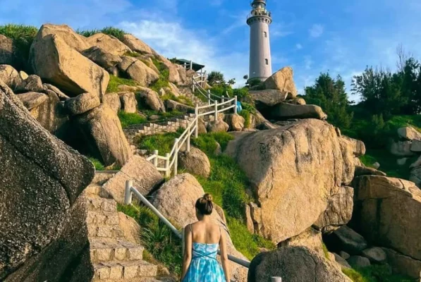 - Welcome to Whale Island resort