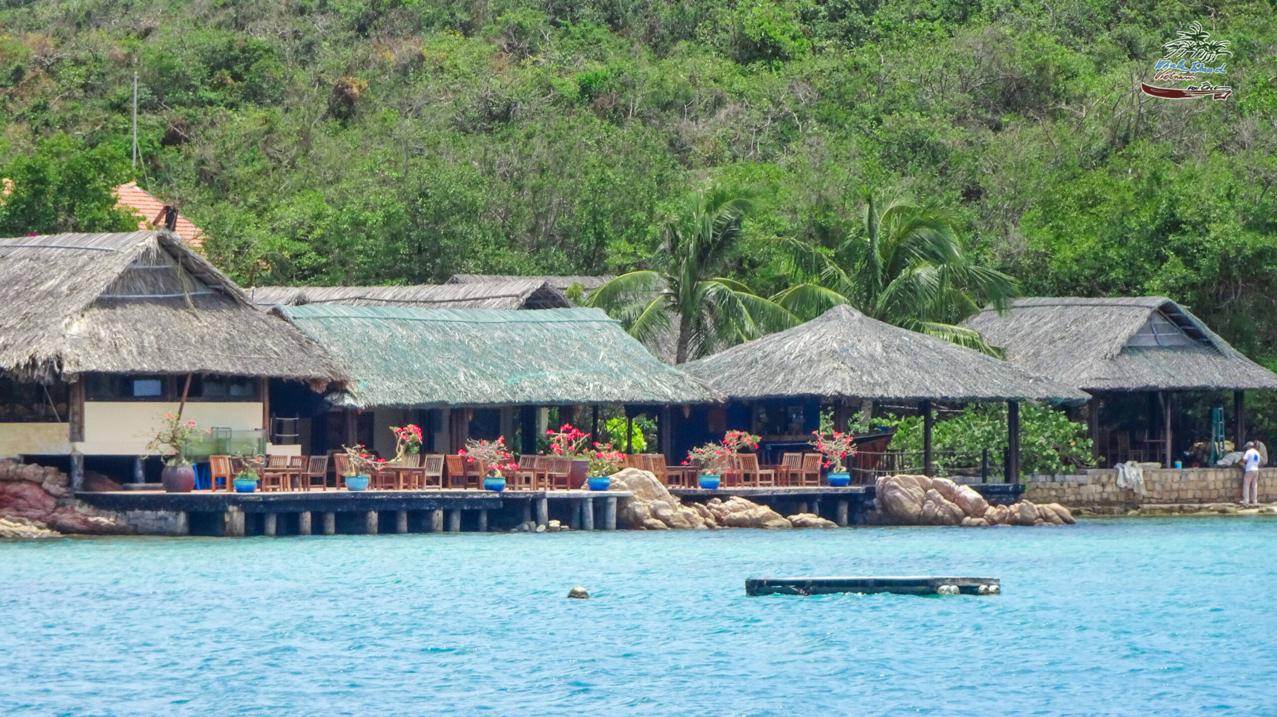 Surrounded by crystal-clear turquoise waters, Whale Island Resort offers an ideal space for relaxation