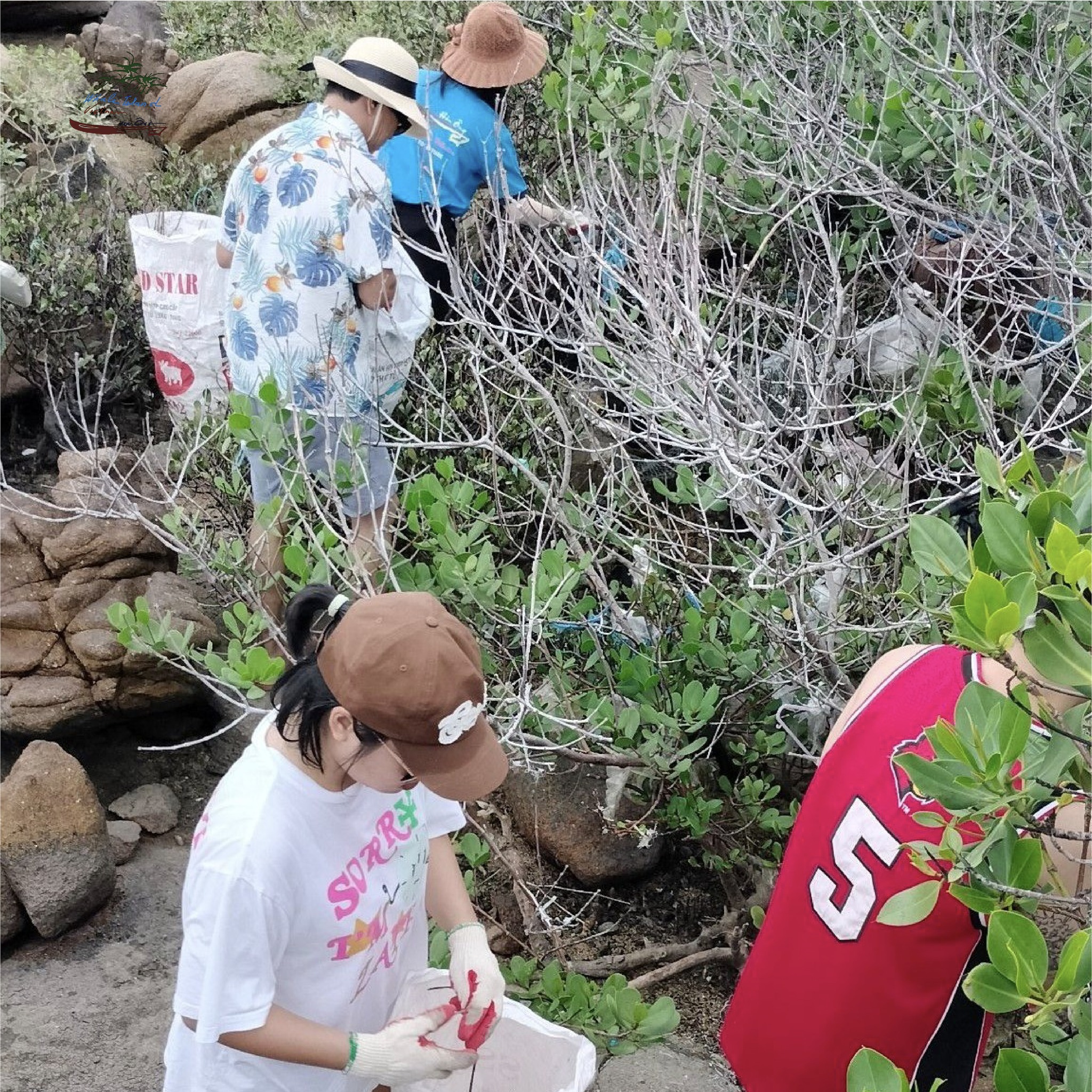 Chung tay bảo vệ thiên nhiên rừng cây hoang dã