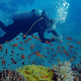 4D3N BLUE PLANET FAMILY ADVENTURE