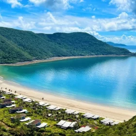 - Welcome to Whale Island resort